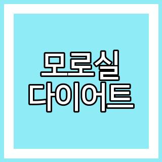 모로실 다이어트