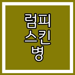 럼피 스킨 병