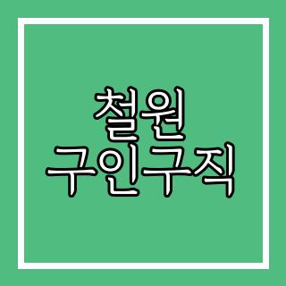 철원 구인구직